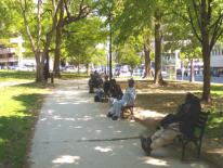 Image of Center City Urban Parks Strategy - downtown DC summertime park scene